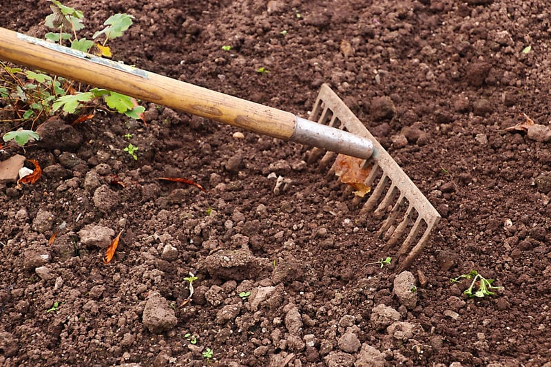 Gardening Community